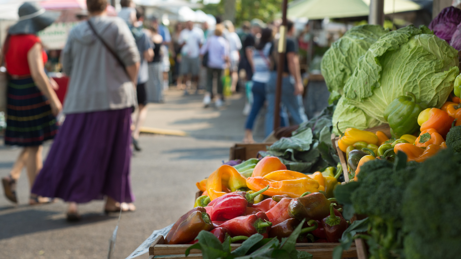 Planning Healthy Communities Initiative (PHCI)