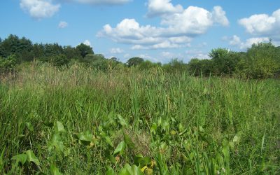 6th Annual Sustainable Raritan River Conference